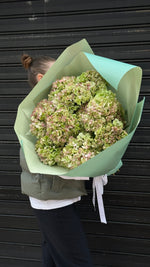 Load image into Gallery viewer, Hydrangea Bouquet